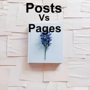 PostsVsPages