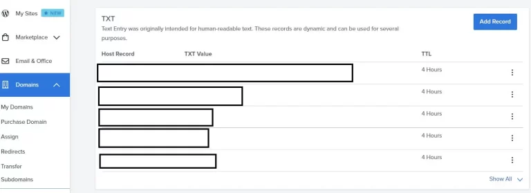 DNS-TXT-Record-Addition_Option